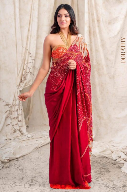 Dorathy Bridal Saree ✨