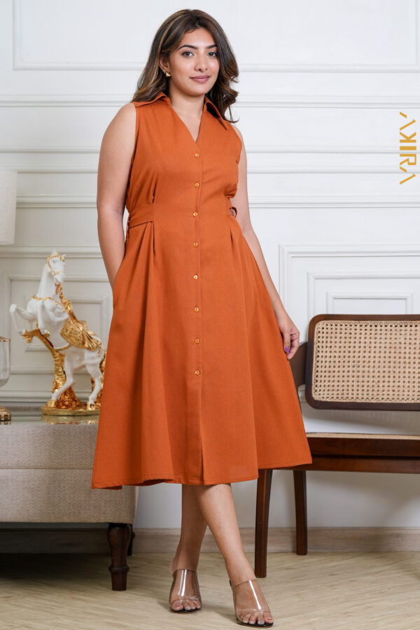 Diana Designer Dress