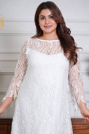 Lavanya lace elegant dress