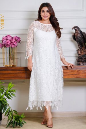 Lavanya lace elegant dress