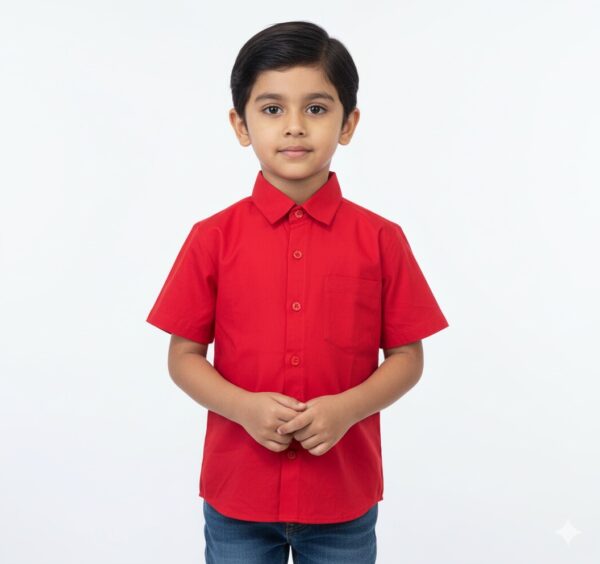 Little Prince Shirt