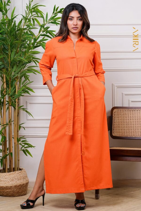 Evening muse elegant dress