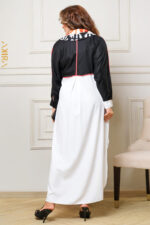 Vintara two tone Dress