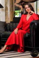 Olyviah Elegant Dress