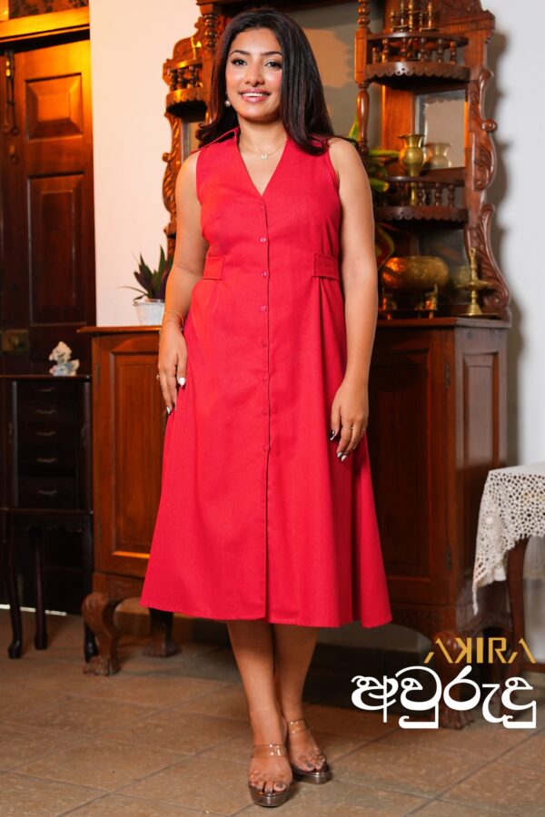 Luvina Designer Dress