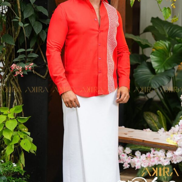 Aarya elegance shirt